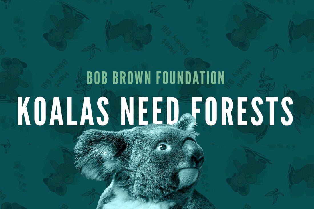 Koalas Need Forests