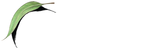 The Bob Brown Foundation